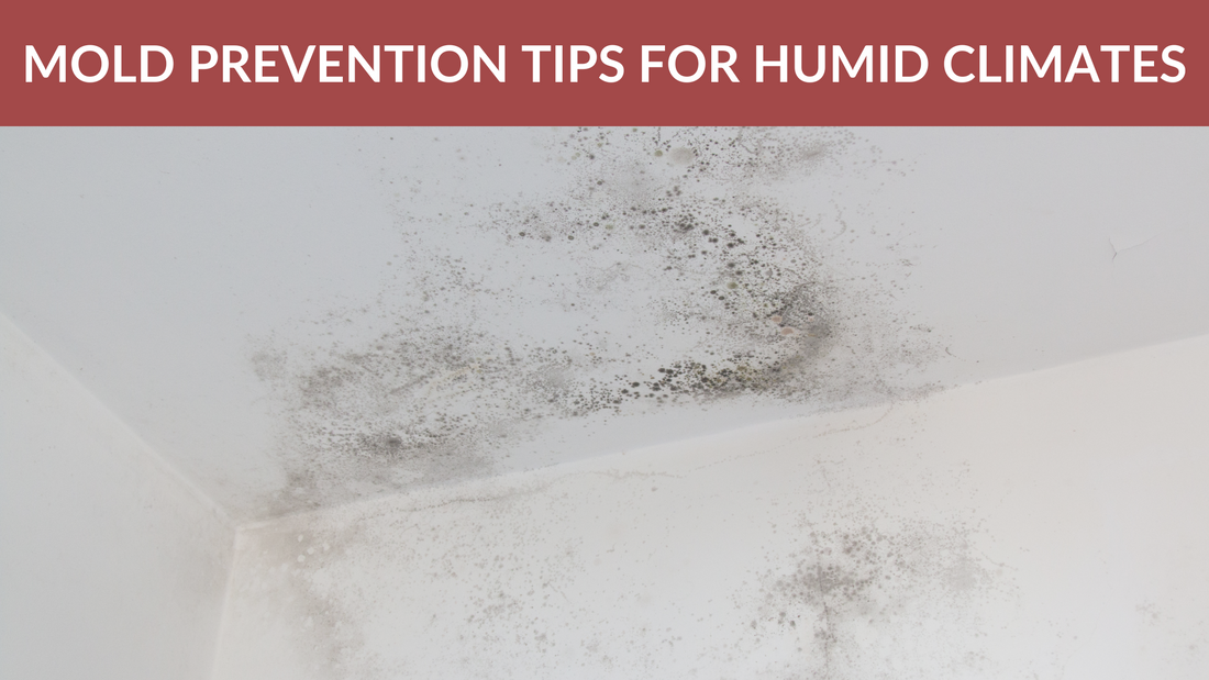How to Prevent and Treat Mold in Your RV: A Guide for Humid Climates