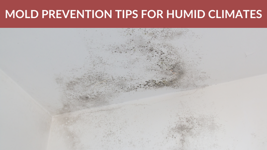How to Prevent and Treat Mold in Your RV: A Guide for Humid Climates